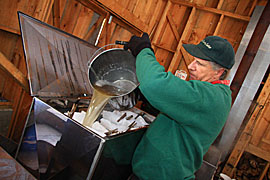 Making Maple Syrup